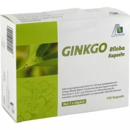 GINKGO 100 mg capsule+B1+C+E, 192 pz