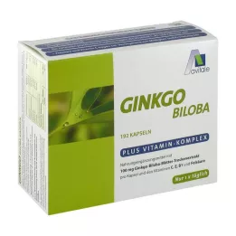 GINKGO 100 mg capsule+B1+C+E, 192 pz