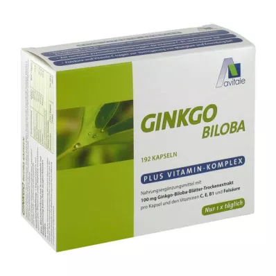 GINKGO 100 mg capsule+B1+C+E, 192 pz GINKGO 100 mg capsule+B1+C+E, 192 pz