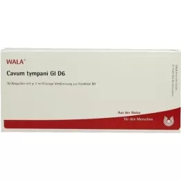 CAVUM timpani GL D 6 fiale, 10X1 ml