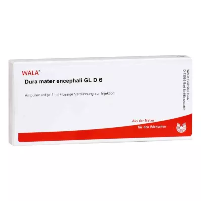 DURA MATER encefali GL D 6 fiale, 10X1 ml