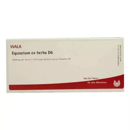 EQUISETUM EX Herba D 6 fiale, 10X1 ml