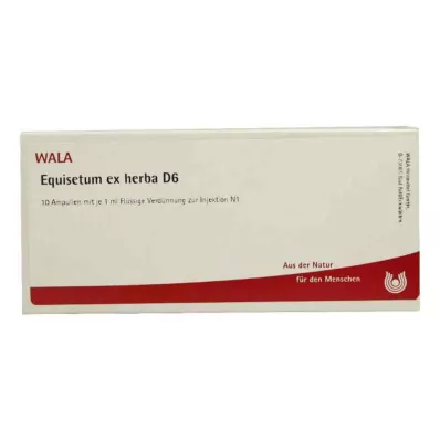 EQUISETUM EX Herba D 6 fiale, 10X1 ml EQUISETUM EX Herba D 6 fiale, 10X1 ml