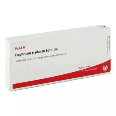 EUPHRASIA E planta tota D 6 Fiale, 10X1 ml EUPHRASIA E planta tota D 6 Fiale, 10X1 ml