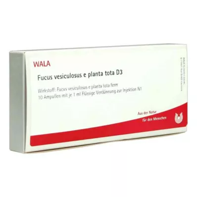 FUCUS VESICULOSUS E planta tota D 3 fiale, 10X1 ml FUCUS VESICULOSUS E planta tota D 3 fiale, 10X1 ml