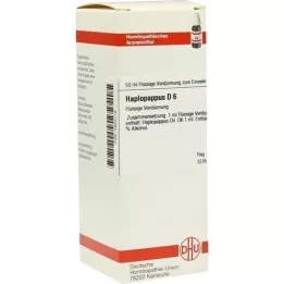 HAPLOPAPPUS D 6 Diluizione, 50 ml