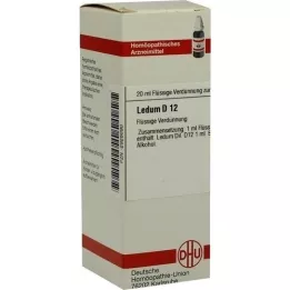 LEDUM D 12 Diluizione, 20 ml