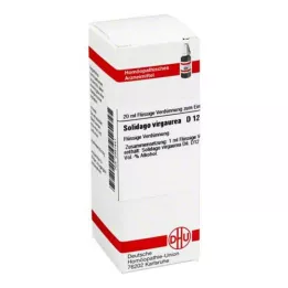 SOLIDAGO VIRGAUREA D 12 Diluizione, 20 ml