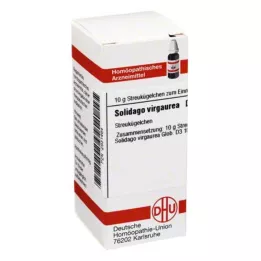 SOLIDAGO VIRGAUREA D 3 globuli, 10 g