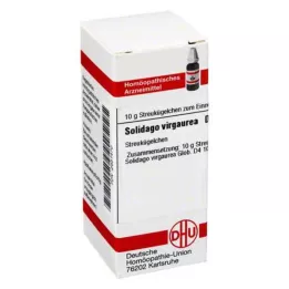 SOLIDAGO VIRGAUREA D 4 globuli, 10 g