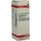 SYMPHYTUM D 12 Diluizione, 20 ml