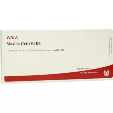 MAXILLA feti GL D 6 fiale, 10X1 ml MAXILLA feti GL D 6 fiale, 10X1 ml