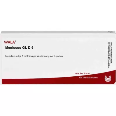 MENISCUS GL D 6 Fiale, 10X1 ml