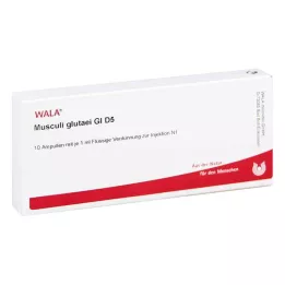 MUSCULI GLUTAEI GL D 5 fiale, 10X1 ml