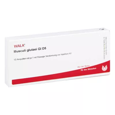 MUSCULI GLUTAEI GL D 5 fiale, 10X1 ml