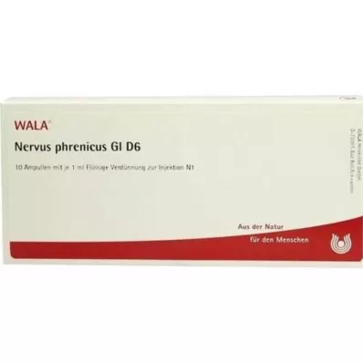 NERVUS PHRENICUS GL D 6 Fiale, 10X1 ml NERVUS PHRENICUS GL D 6 Fiale, 10X1 ml