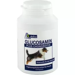 GLUCOSAMIN+CHONDROITIN Capsule per cani, 120 pezzi