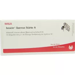 ISCUCIN amido di quercus A fiale, 10X1 ml