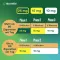 NICORETTE TX Patch 10 mg, 7 pz