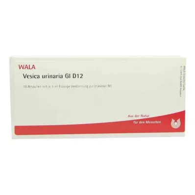 Vesica Urinaria Gl D12 fiale (10x1 ml) Vesica Urinaria Gl D12 fiale (10x1 ml)