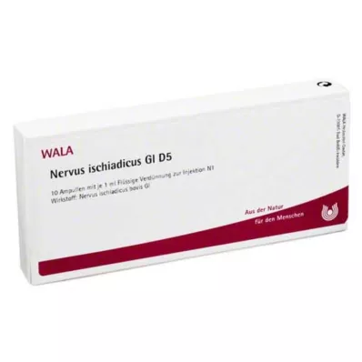 Nervo sciatico GL D 5 fiale, 10X1 ml Nervo sciatico GL D 5 fiale, 10X1 ml