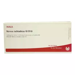 NERVUS ISCHIADICUS GL D 10 fiale, 10X1 ml