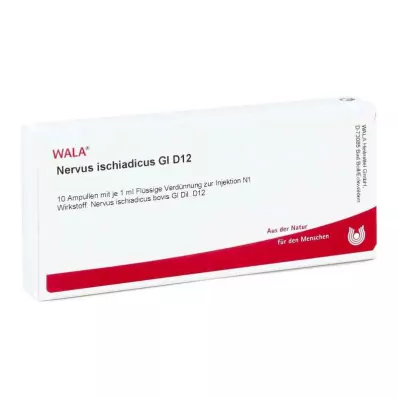 Nervo sciatico Gl D12 fiale (10x1 ml) Nervo sciatico Gl D12 fiale (10x1 ml)