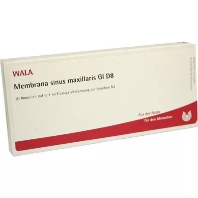 MEMBRANA sinus maxillaris GL D 8 fiale, 10X1 ml