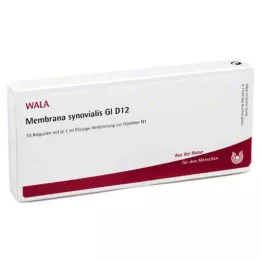 MEMBRANA synovialis GL D 12 fiale, 10X1 ml