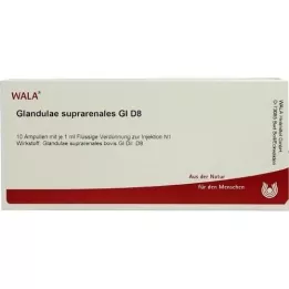 GLANDULAE SUPRARENALES GL D 8 fiale, 10X1 ml