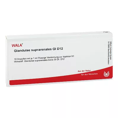 Glandulae suprarenalis GL D 12 fiale, 10X1 ml Glandulae suprarenalis GL D 12 fiale, 10X1 ml