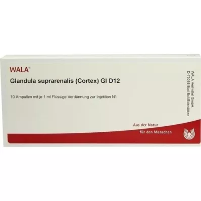 GLANDULA SUPRARENALES corteccia GL D 12 fiale, 10X1 ml