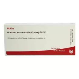 GLANDULA SUPRARENALES corteccia GL D 12 fiale, 10X1 ml