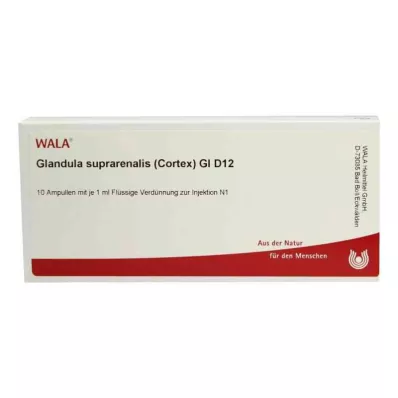 Ghiandola surrenale.Cort.Fiale Gl D12 (10x1 ml) Ghiandola surrenale.Cort.Fiale Gl D12 (10x1 ml)