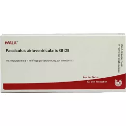FASCICULUS atrioventricularis GL D 8 fiale, 10X1 ml