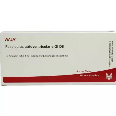 FASCICULUS atrioventricularis GL D 8 fiale, 10X1 ml FASCICULUS atrioventricularis GL D 8 fiale, 10X1 ml