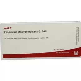 FASCICULUS atrioventricularis GL D 15 fiale, 10X1 ml