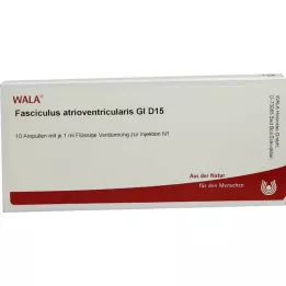 FASCICULUS atrioventricularis GL D 15 fiale, 10X1 ml