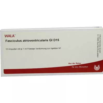 FASCICULUS atrioventricularis GL D 15 fiale, 10X1 ml FASCICULUS atrioventricularis GL D 15 fiale, 10X1 ml