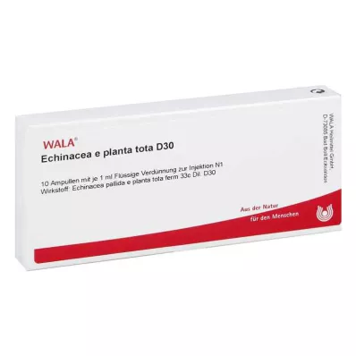 ECHINACEA E planta tota D 30 fiale, 10X1 ml ECHINACEA E planta tota D 30 fiale, 10X1 ml