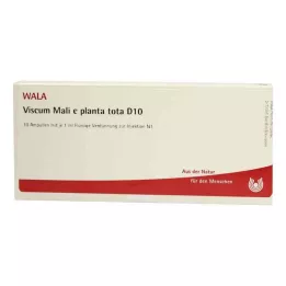 VISCUM MALI e pianta tota D 10 fiale, 10X1 ml