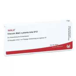 VISCUM MALI e pianta tota D 12 fiale, 10X1 ml