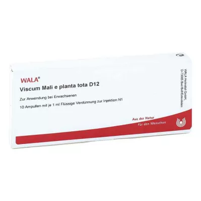 VISCUM MALI e pianta tota D 12 fiale, 10X1 ml