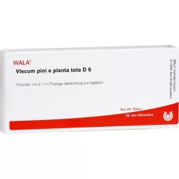 VISCUM PINI e pianta tota D 6 fiale, 10X1 ml