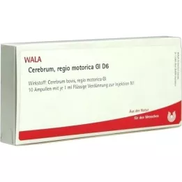 CEREBRUM REGIO motorica GL D 6 fiale, 10X1 ml