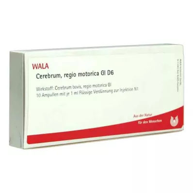 Cerebrum Regio Motor Gl D6 fiale (10x1 ml)