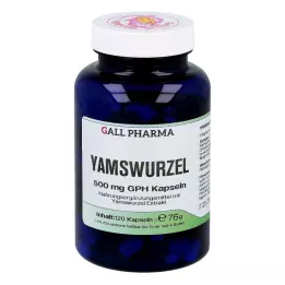 YAMSWURZEL 500 mg GPH Capsule, 120 pezzi