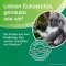 SOLEDUM Balsamo liquido, 50 ml