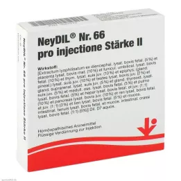 NEYDIL No.66 pro injectione St.2 Fiale, 5X2 ml