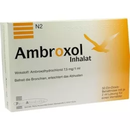 AMBROXOL Soluzione da inalare per nebulizzatore, 50X2 ml